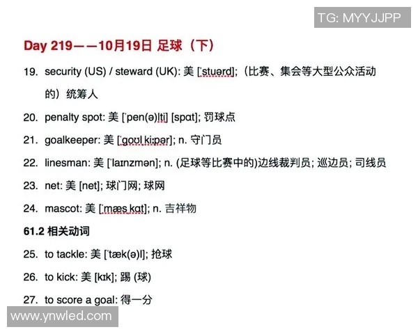 英语流利的足球明星们如何在场内外沟通与合作