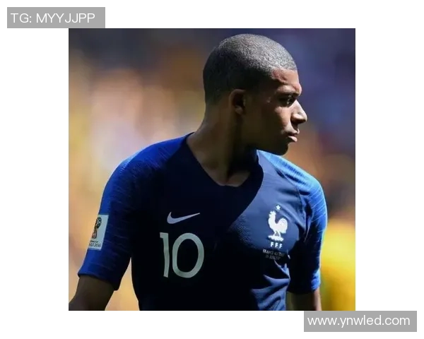 法国足球明星2014