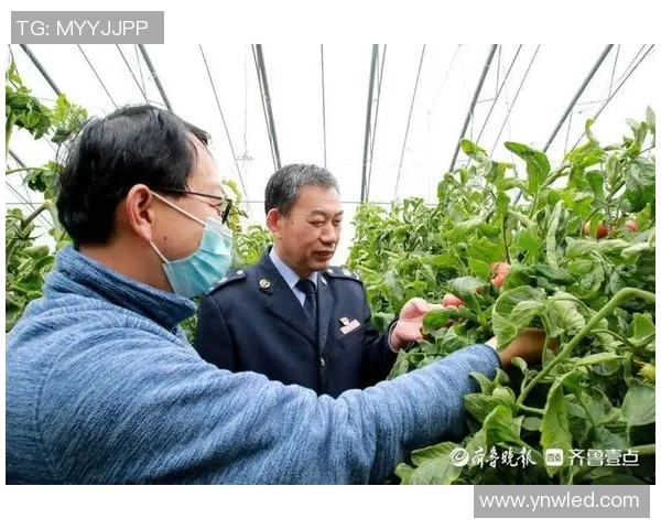 蚂蚁森林携手足球明星推出绿色环保奖励活动助力可持续发展