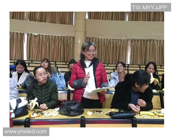 2017年比利时足球明星的辉煌成就与未来展望分析