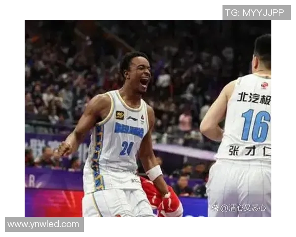 篮球明星背后的故事与成就探讨与他们对篮球运动的影响