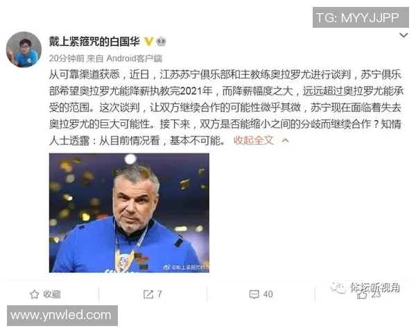 足球教练第二季观看渠道及平台推荐详解