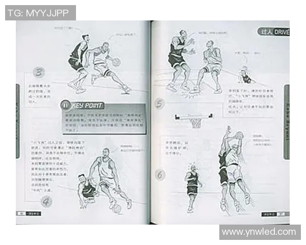 NBA篮球过人技巧全解析教你如何成为场上闪耀的明星球员